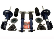 Ford Performance 2015-2023 Mustang Track Strut and Shock Kit
