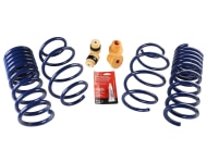 Ford Performance 2015-2023 Mustang Street Lowering Spring Kit