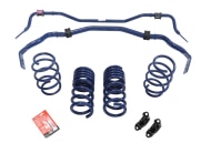 Ford Performance 2015-2020 Mustang GT350 Sway Bar and Spring Kit