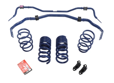 Ford Performance 2015-2020 Mustang GT350 Sway Bar and Spring Kit