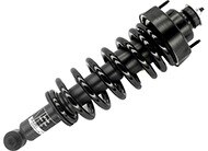 KYB Strut-Plus Assembly