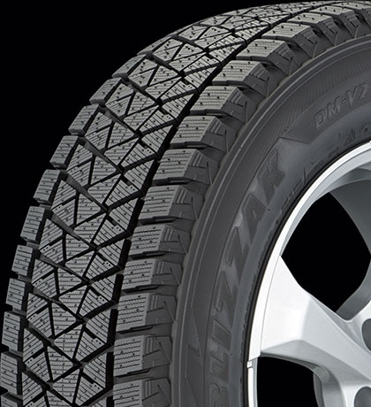 Bridgestone Blizzak DM-V2