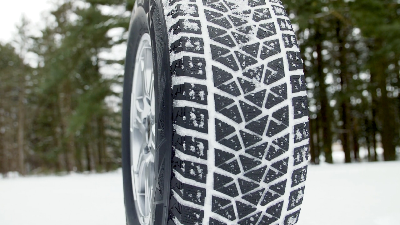 Blizzak DM-V2 Bridgestone