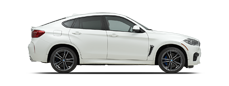 Vehicle in session - 2019 BMW X6 M  Alpine White