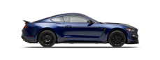 Vehicle in session - 2019 Ford Shelby GT350 Mustang  Kona Blue